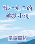 独一无二的婚纱小说