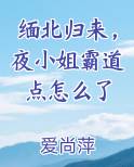 缅北归来，夜小姐霸道点怎么了完整版小说