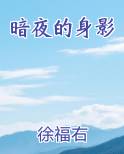 暗夜的身影