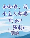 知知乖，两个主人都要哄 (NP，强制)