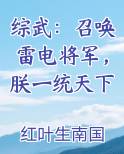 综武：召唤雷电将军，朕一统天下小说5200