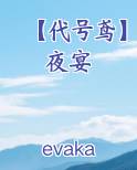 【代号鸢】夜宴