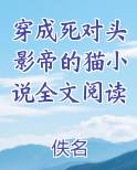 穿成死对头影帝的猫小说全文阅读