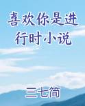 喜欢你是进行时小说