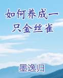 如何养成一只金丝雀