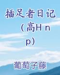 插足者日记（高H np）