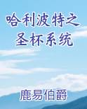 哈利波特之圣杯系统TXT小说