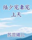 陆少宠妻宠上天