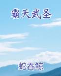 霸天武圣